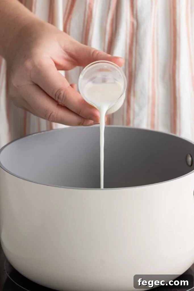 Adding milk to thin out 5-Ingredient Queso Blanco.
