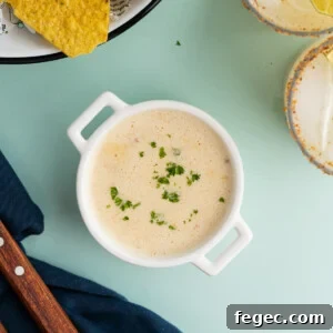 Overhead image of 5-Ingredient Queso Blanco