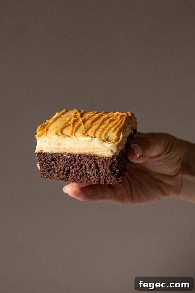 Fudgy Chocolate Brownies Topped with Creamy Peanut Butter 2 peanut butter brownies