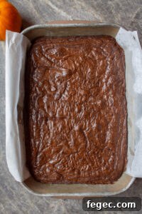 Fudgy Chocolate Brownies Topped with Creamy Peanut Butter 12 brownies