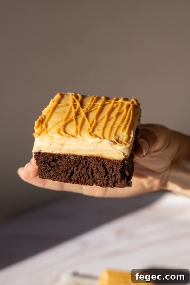Fudgy Chocolate Brownies Topped with Creamy Peanut Butter 15 peanut butter brownies