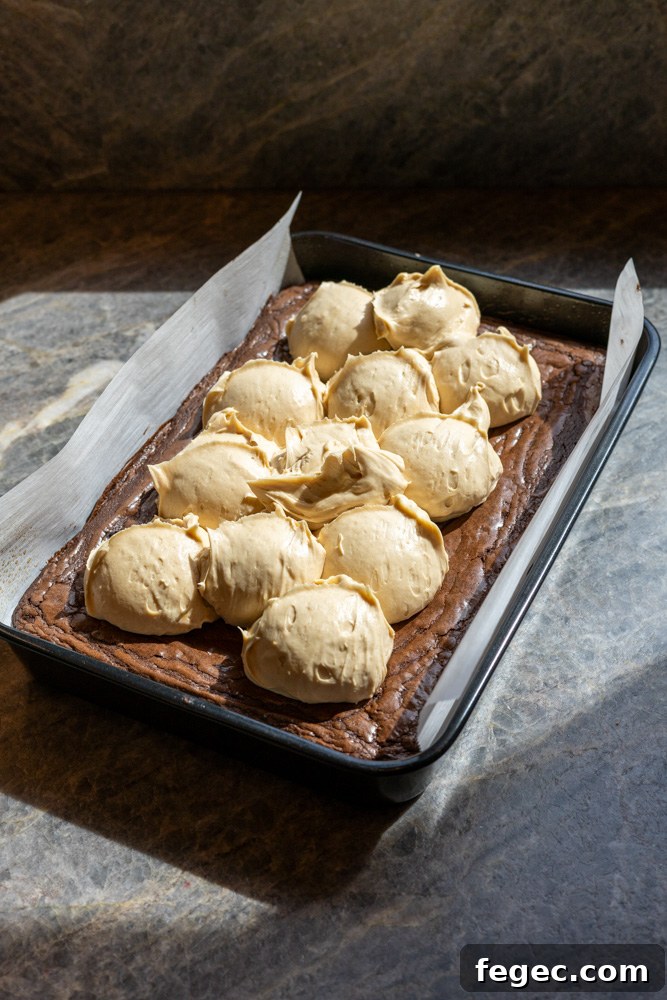 Fudgy Chocolate Brownies Topped with Creamy Peanut Butter 3 peanut butter brownies