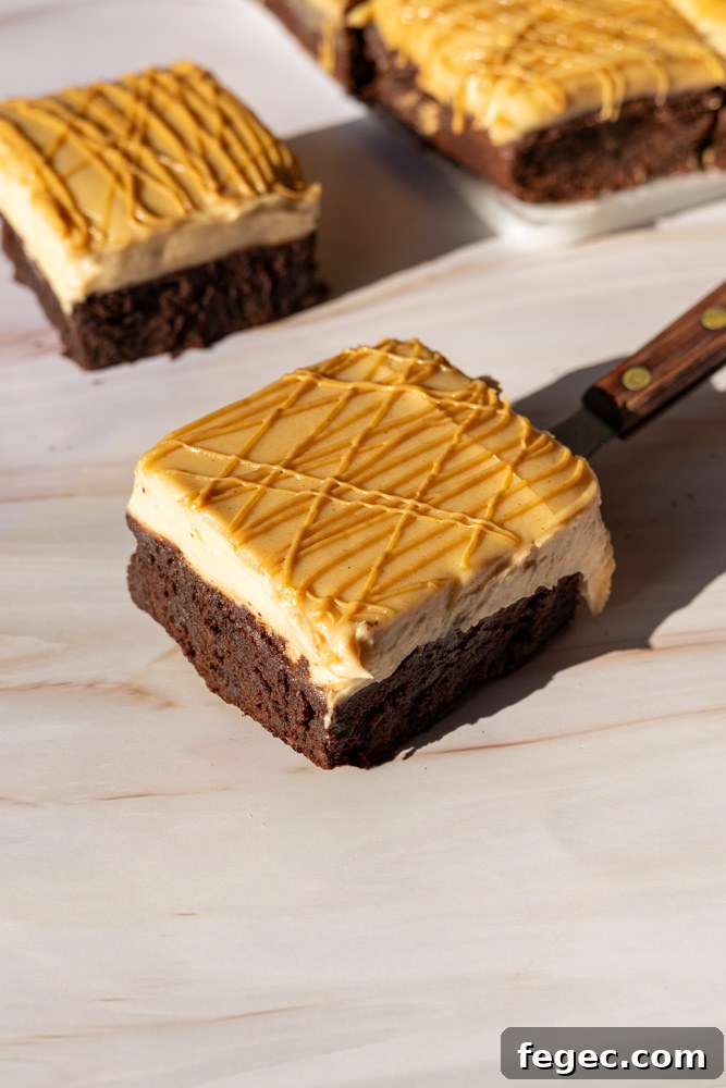 Fudgy Chocolate Brownies Topped with Creamy Peanut Butter 4 peanut butter brownies