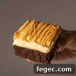Fudgy Chocolate Brownies Topped with Creamy Peanut Butter 6 brownies with peanut butter topping