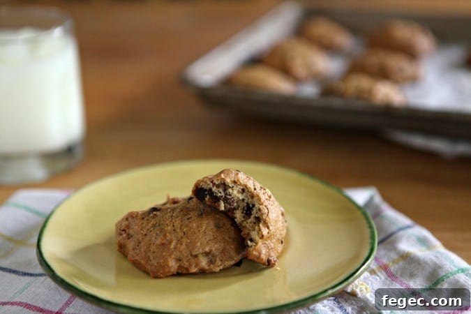 Two Toasted Almond Dark Chocolate Chip Cookies on a yellow plate