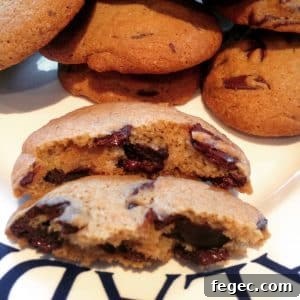 Retro Chocolate Chip Cookies Recipe: Classic Homemade Treat 2 IMG_3243