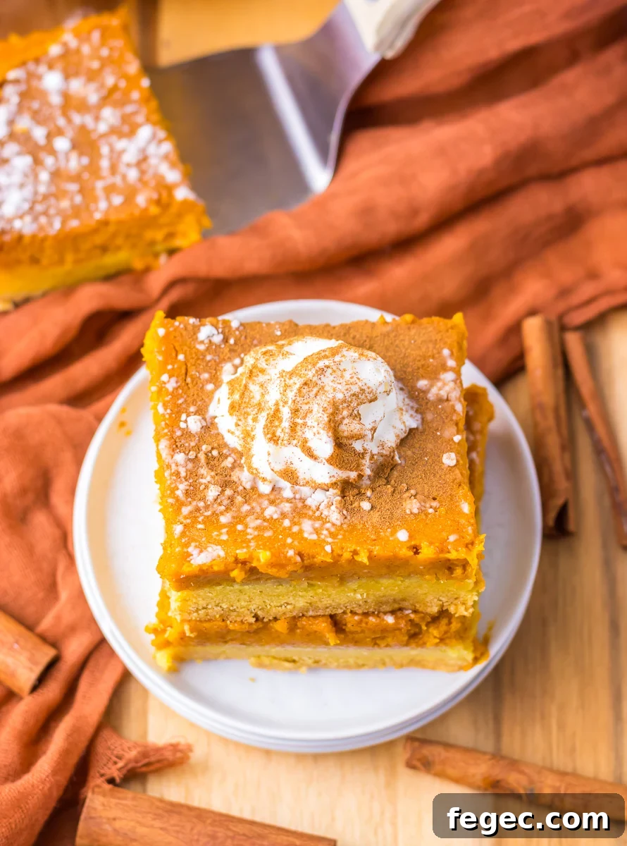 Two pieces of pumpkin gooey butter cake stacked on a white plate.