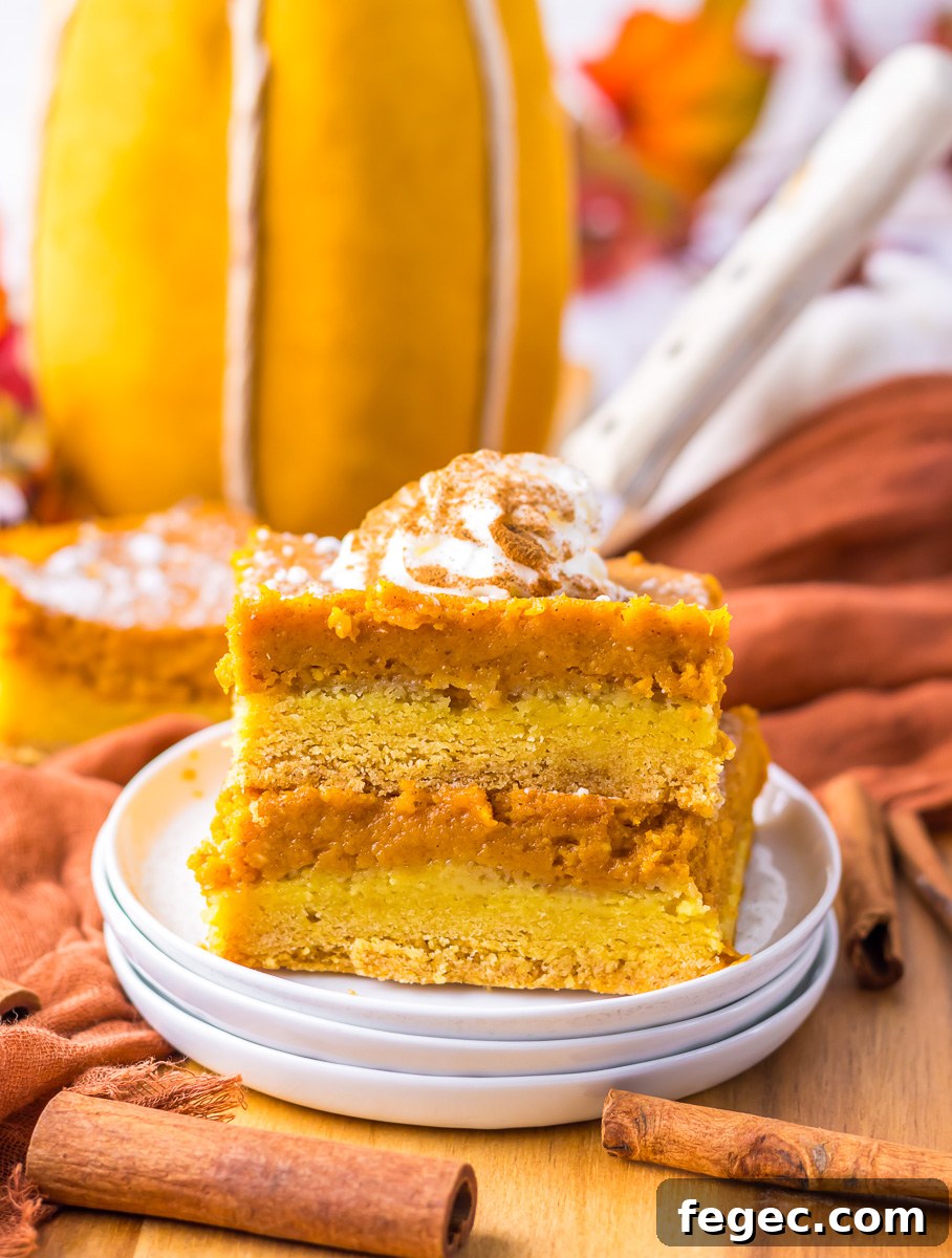 Side view of two pieces of  pumpkin gooey butter cake stacked on a white plate.