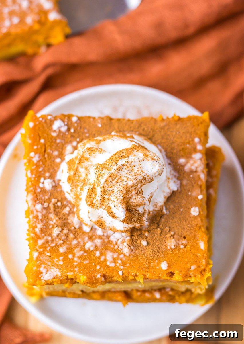 Overhead view of  pumpkin gooey butter cake topped with whip cream and cinnamon.