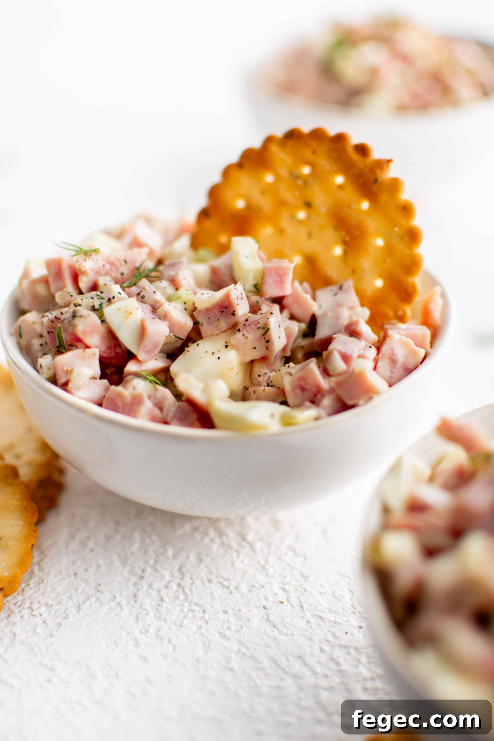 Small white serving bowl with ham salad and butter crackers.