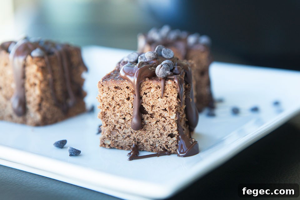 Paleo Protein Brownies Recipe — Gluten-Free Chocolate Treat 2 Paleo Protein Brownies