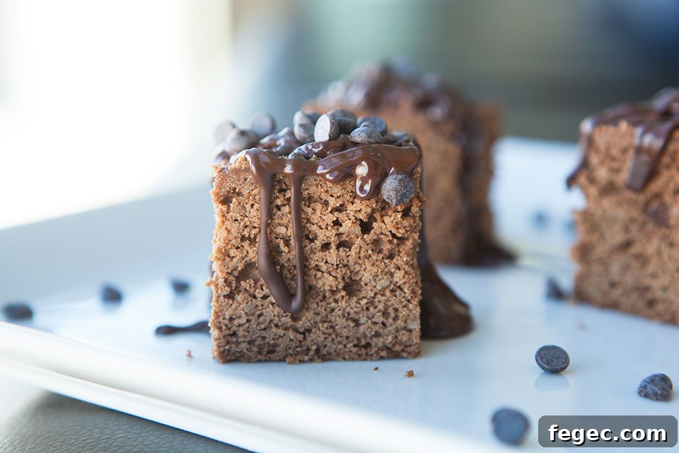 Paleo Protein Brownies Recipe — Gluten-Free Chocolate Treat 3 Paleo Protein Brownies