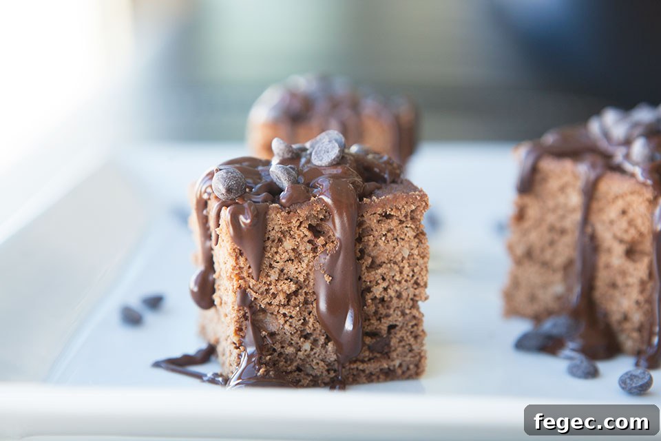 Paleo Protein Brownies Recipe — Gluten-Free Chocolate Treat 4 Paleo Protein Brownies