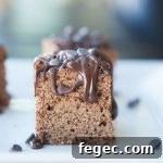 Paleo Protein Brownies