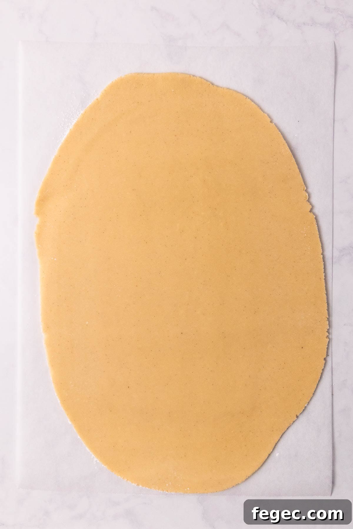 The rolled out sheet of dough.