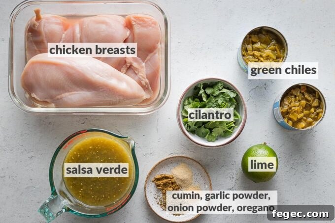 Labeled photo of ingredients for Crockpot salsa verde chicken: chicken breasts, salsa verde, two cans mild green chiles, lime, cilantro, and spices including cumin, Mexican oregano, garlic powder, and onion powder.