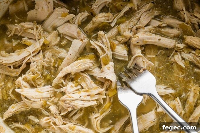 Two forks shredding chicken breasts slow cooked in salsa verde with chiles and spices.
