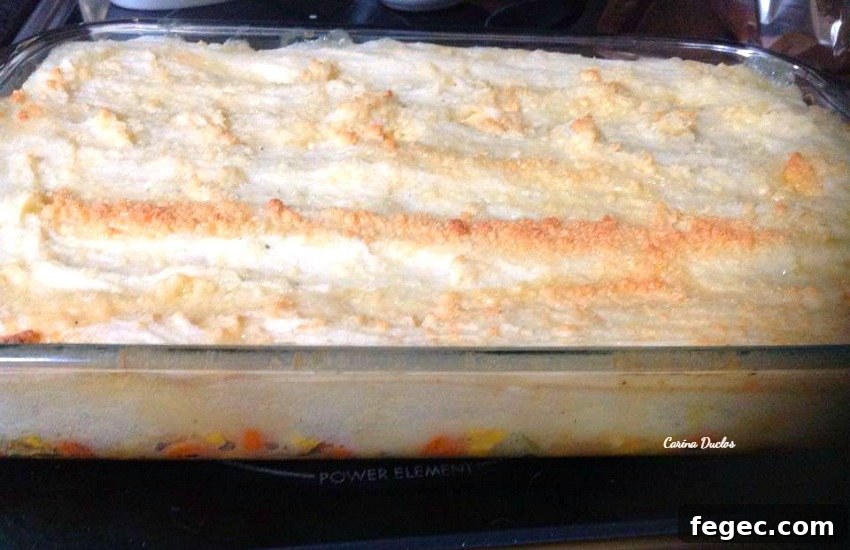 Cheesy Veggie Casserole