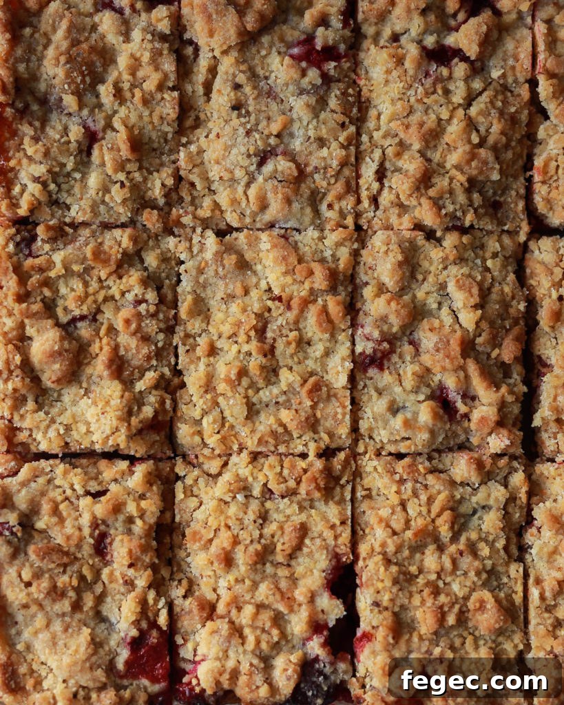 cranberry hazelnut crumb bars