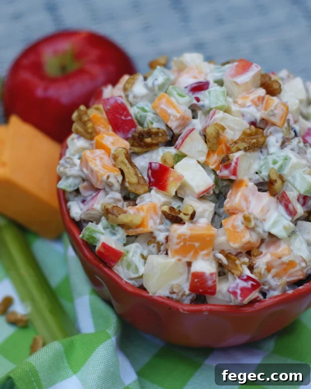 An close up view of apple, cheese, celery salad.