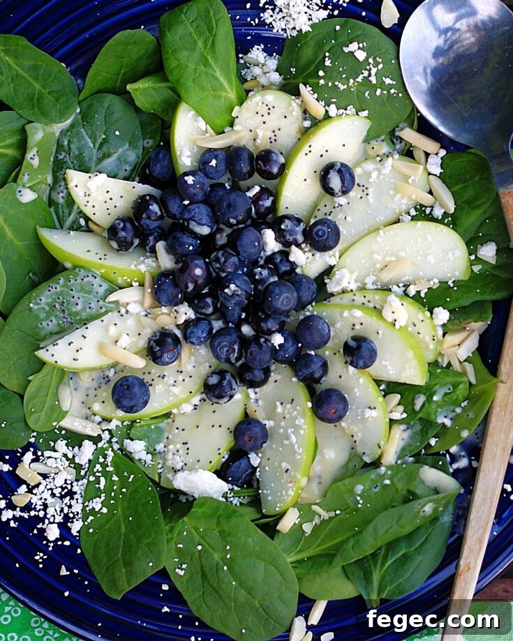 Image for Blueberry Spinach Salad with Orange Poppy Seed Dressing