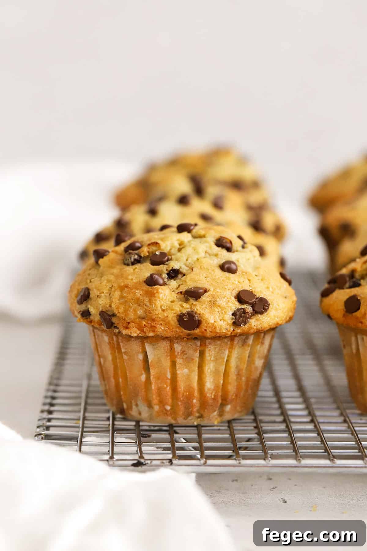 gluten-free chocolate chip muffins on a wire rack
