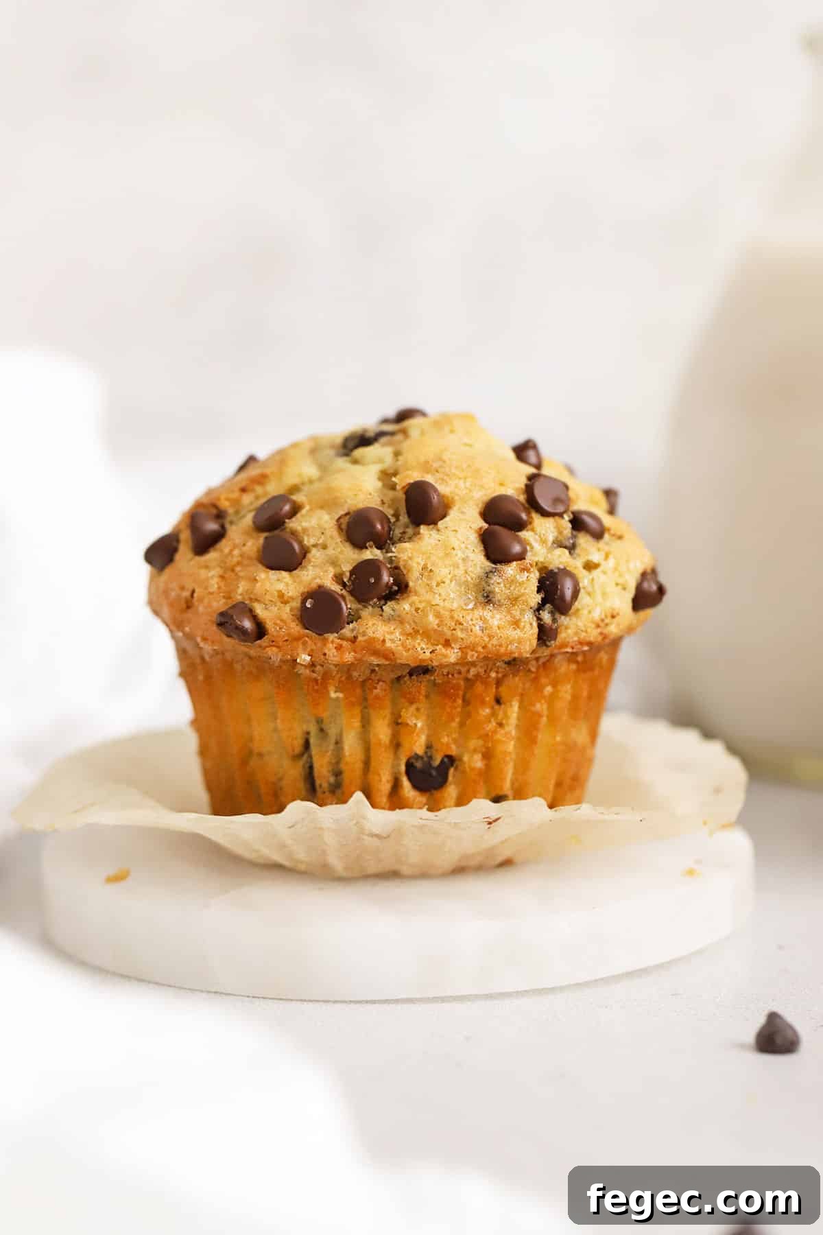 bakery style gluten-free chocolate chip muffin with mini chocolate chips