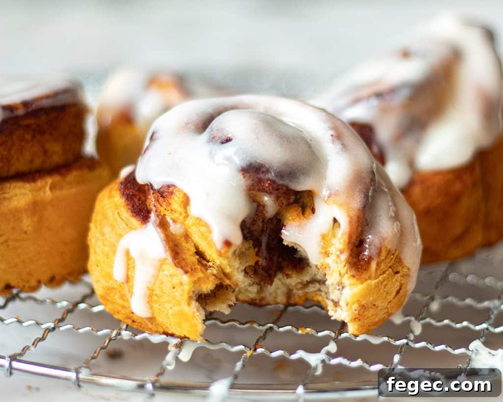 close up of cinnamon rolls 