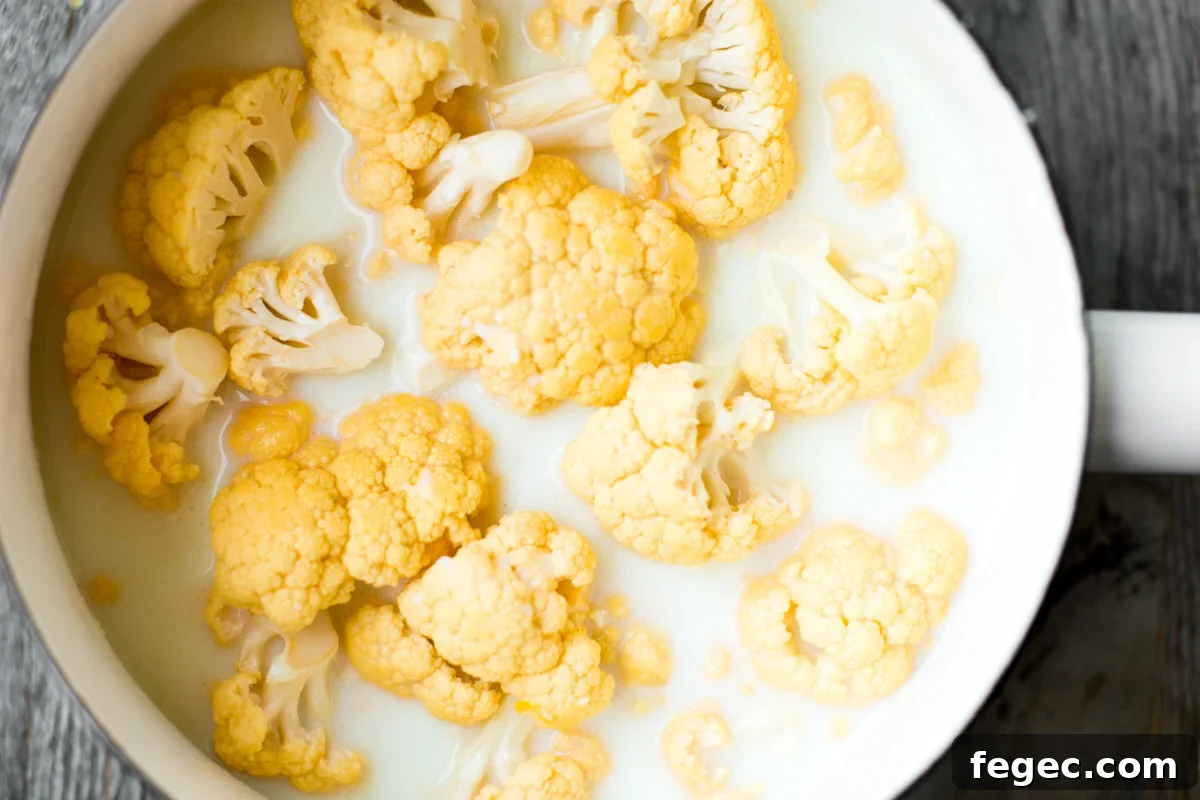 cauliflower simmering in milk in saucepan