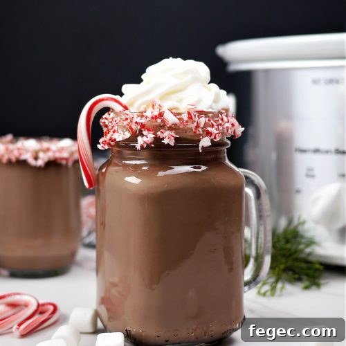 Slow Cooker Candy Cane Hot Chocolate