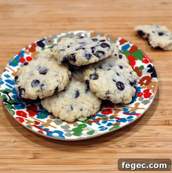 Stevia Chocolate Chip Shortbread