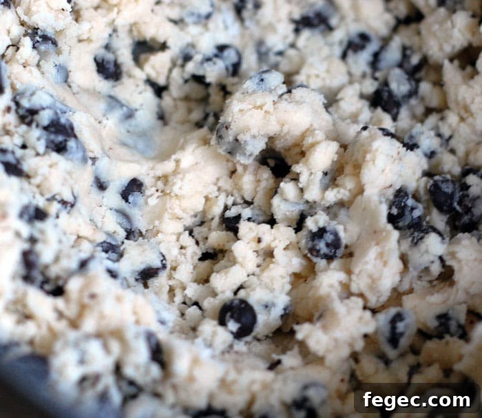 Stevia Chocolate Chip Shortbread