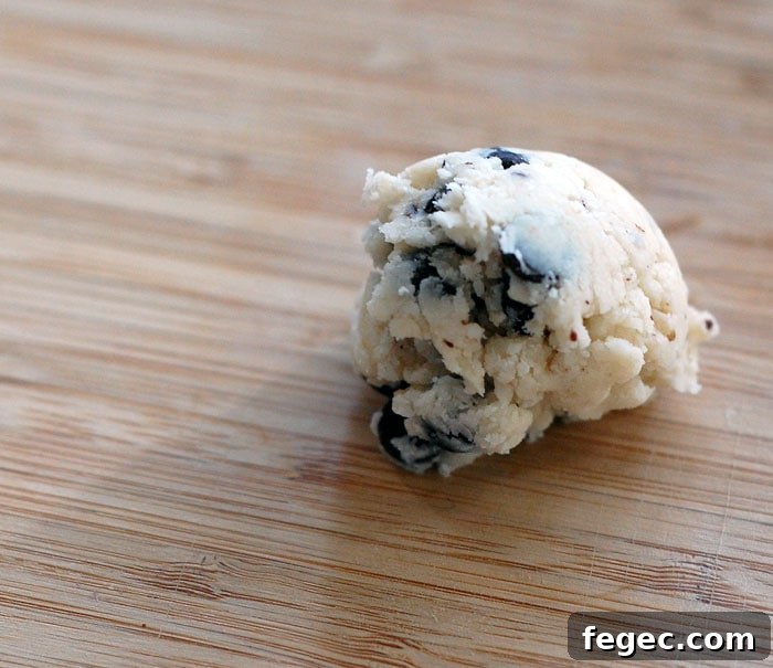 Stevia Chocolate Chip Shortbread