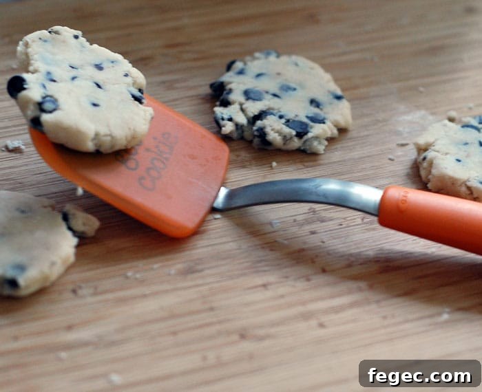 Stevia Chocolate Chip Shortbread