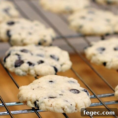 Stevia Chocolate Chip Shortbread