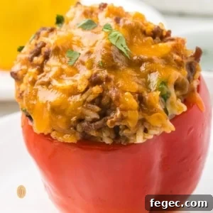 A close-up, square-cropped shot of a single, baked red taco stuffed bell pepper on a white plate, topped with melted cheddar cheese and cilantro.