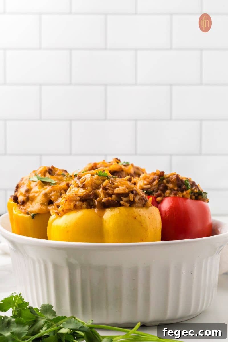 A close-up, low-angle shot of four baked taco stuffed peppers (two red, two yellow) sitting upright in a white baking dish. Fresh cilantro garnishes are in the foreground.