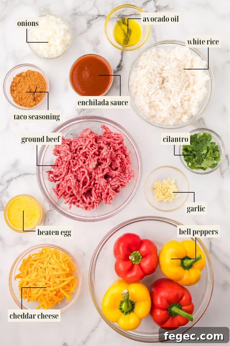 An overhead shot showing all the ingredients for Taco Stuffed Peppers, each labeled: chopped onions, taco seasoning, raw ground beef, beaten egg, shredded cheddar cheese, avocado oil, enchilada sauce, cooked white rice, chopped cilantro, minced garlic, and four whole bell peppers (two red, two yellow).