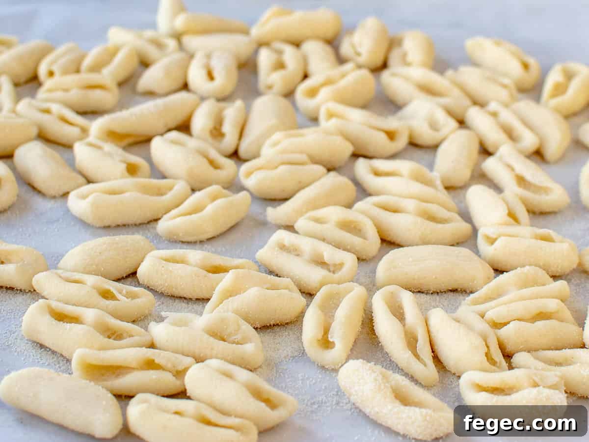 Homemade eggless pasta shaped with an indentation in each.