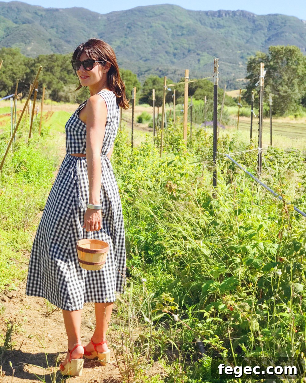 Impromptu berry picking and happened to wear the perfect dress for the occasion. 
