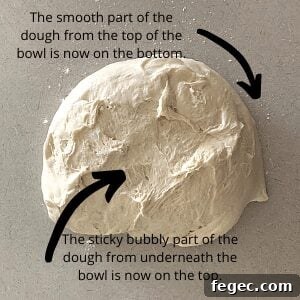 Dough ball ready for shaping