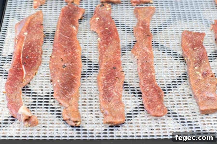 Deer jerky on dehydrator tray