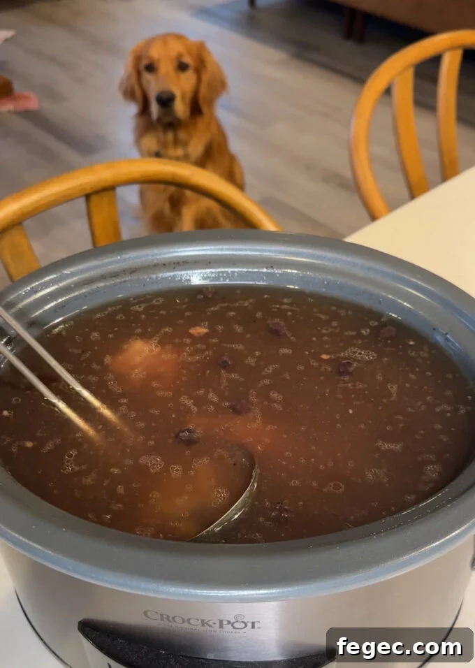Bone broth for dogs in a slow cooker