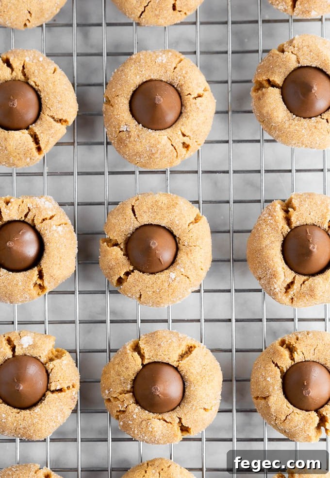 rows of chocolate peanut butter blossoms on a cooling rack