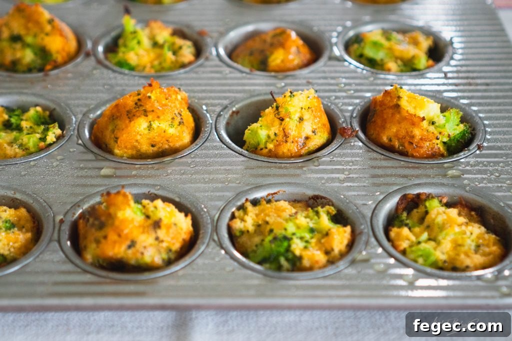 Cheesy broccoli bites on a plate