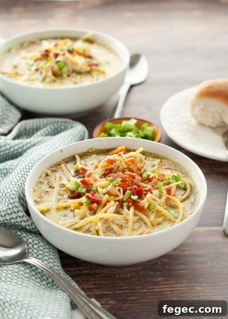 gluten-free-dairy-free-crack-chicken-noodle-soup