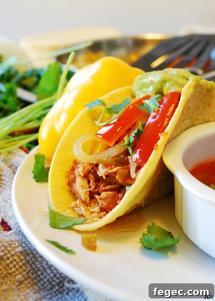 dairy-free-slow-cooker-salsa-chicken-tacos