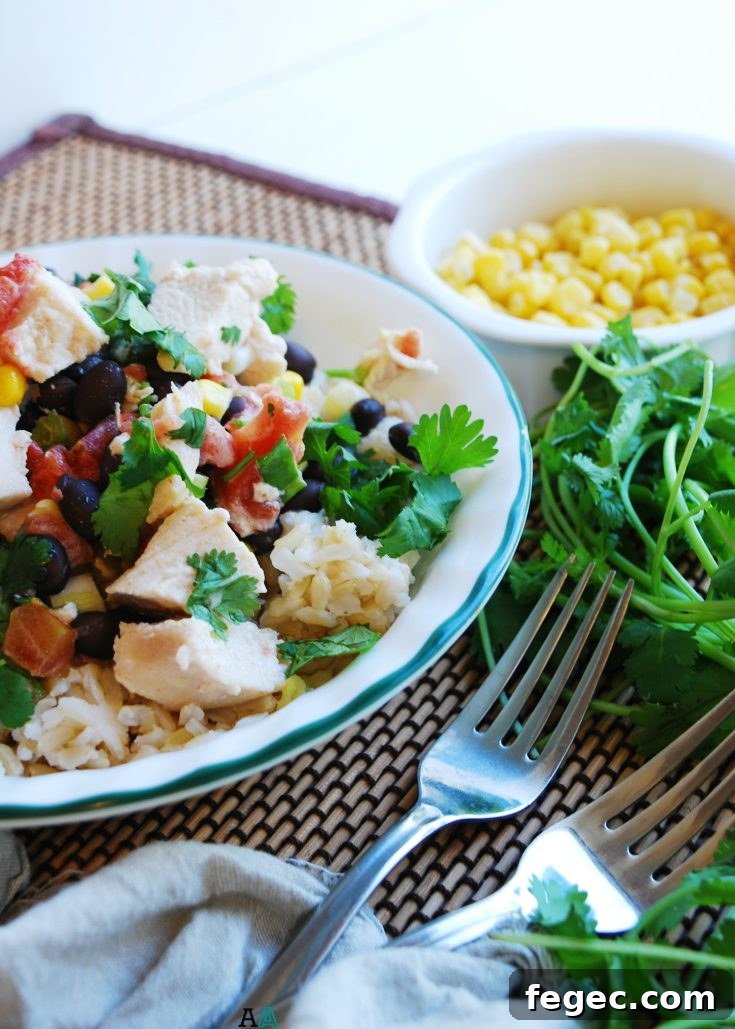 dairy-free-Slow-Cooker-Sante-Fe-Chicken-Dinner-recipe