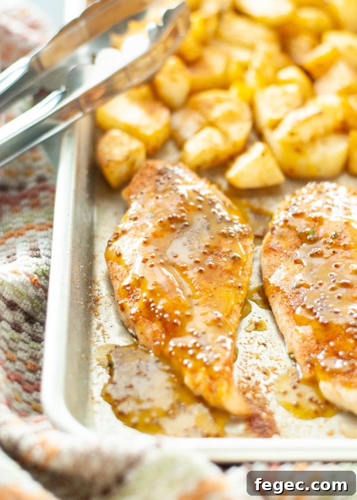 how-to-make-honey-mustard-chicken-dairy-free