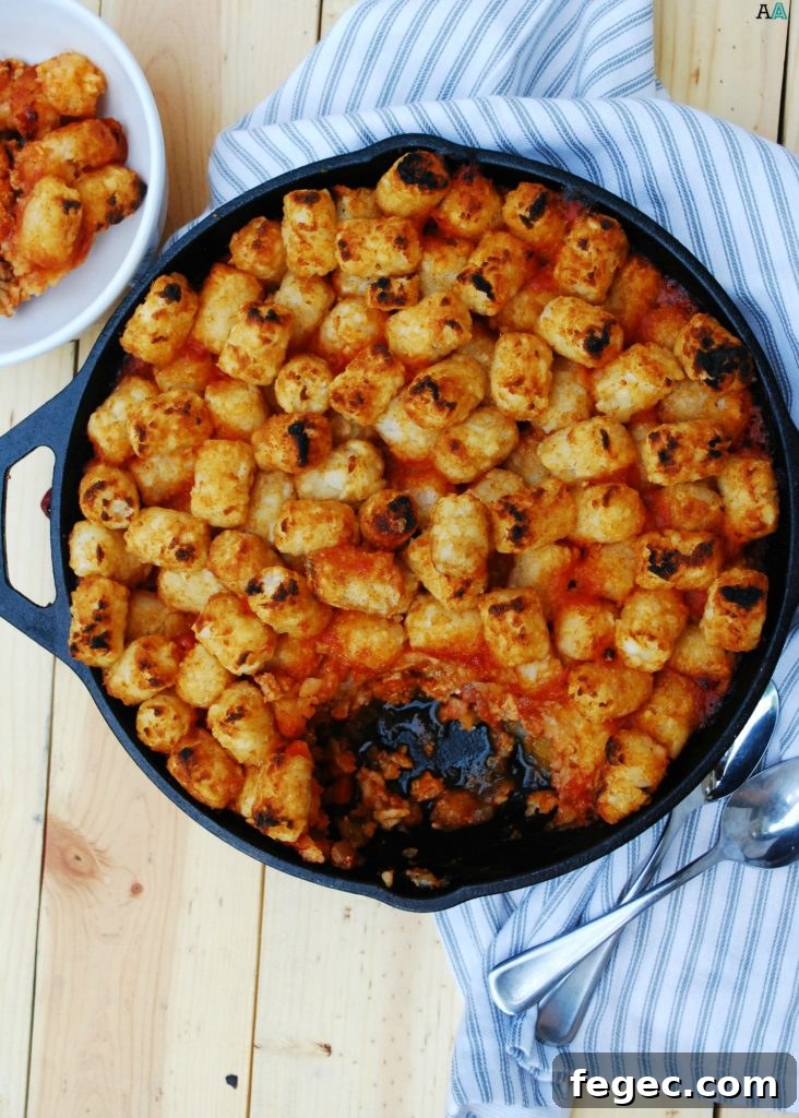 dairy-free-Skillet-Sloppy-Joe-Casserole-recipe